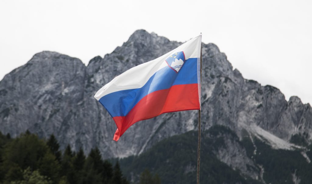 Флаг Словении — ВНЖ